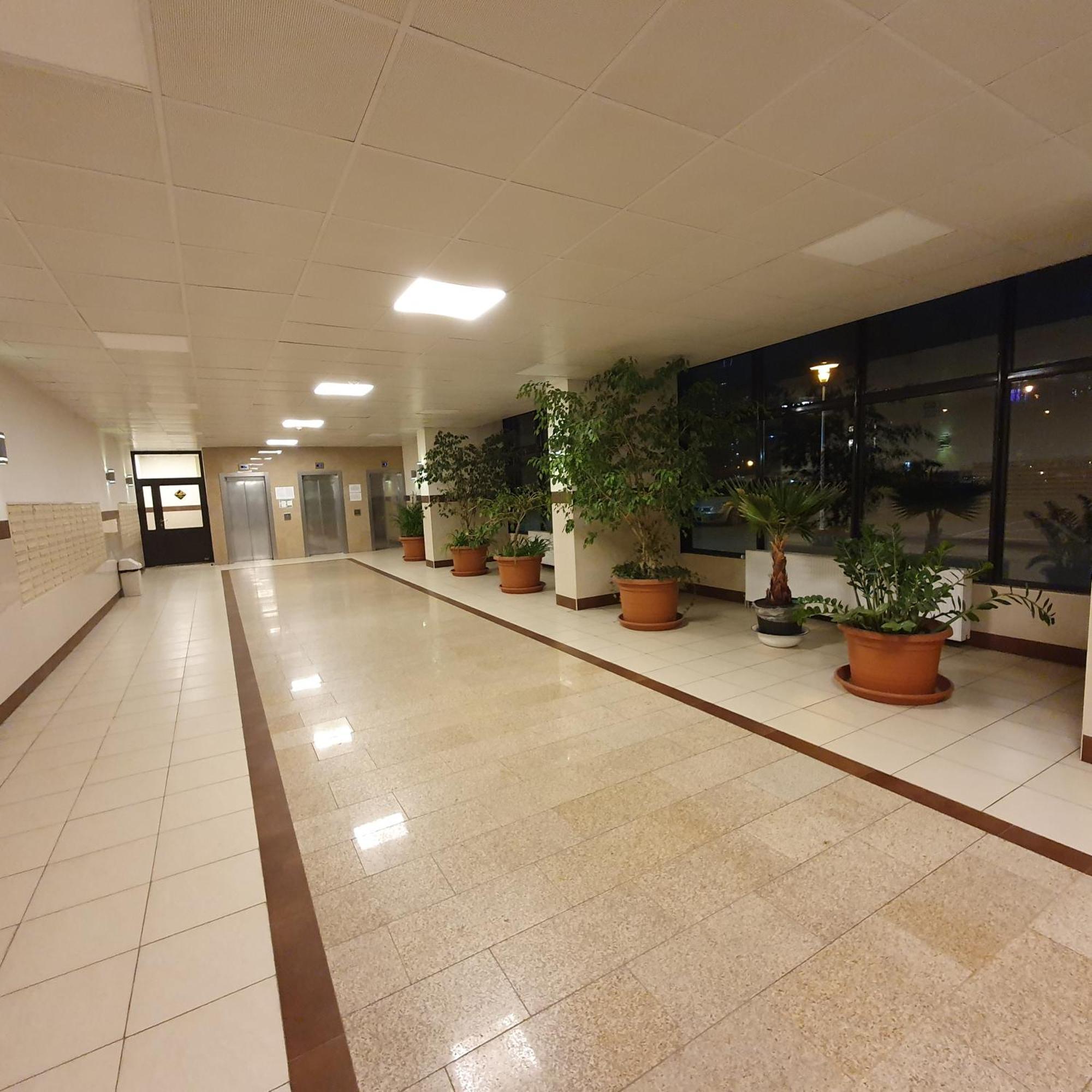 Park Saski Przechodnia وارسو المظهر الخارجي الصورة
